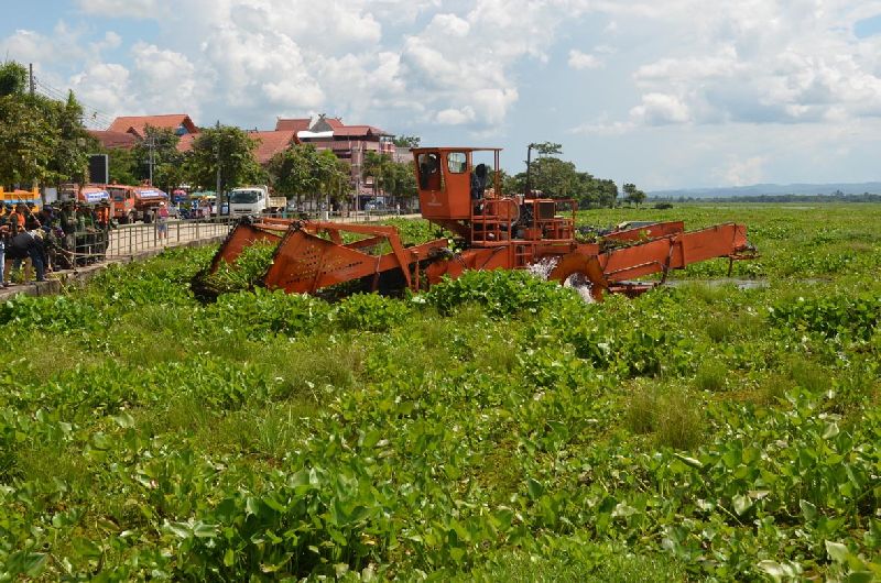 ผักตบชวาแพงกว่าทอง สตง.สรุปถลุงกันยับ