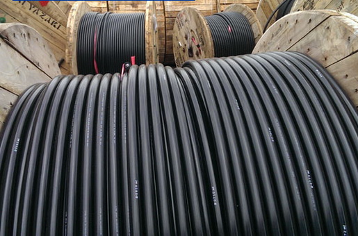 สินบนสายไฟโผล่