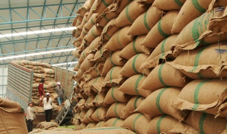 สตง.สอบเชิงลึกข้าวหายล้านตัน