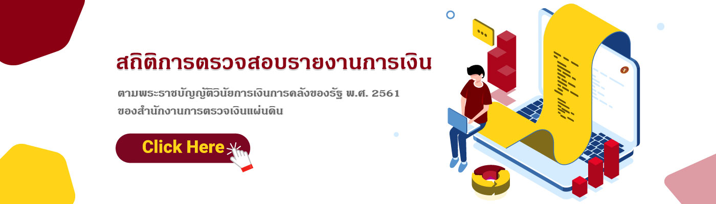 สถิติการตรวจสอบรายงานการเงิน 