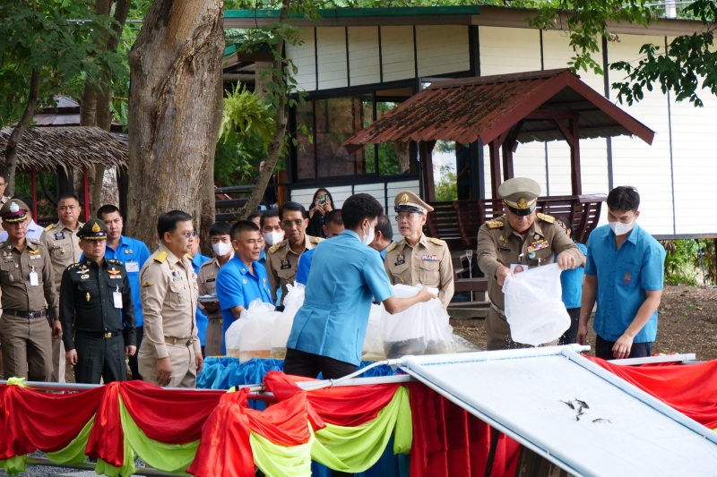 สตง. ส่งเสริมการศึกษา พัฒนาเด็กและเยาวชน 