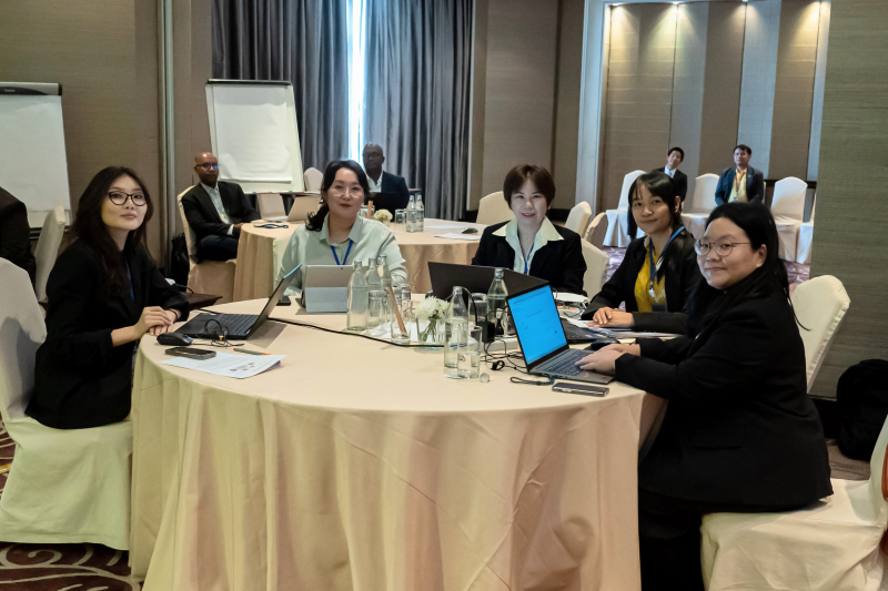 IDI (CRISP Risk Management Workshop) 