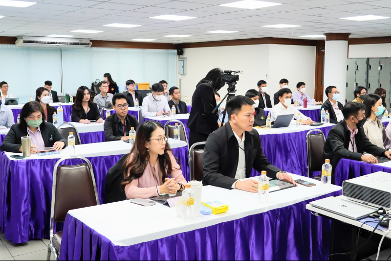 การตรวจสอบโครงการขนาดใหญ่